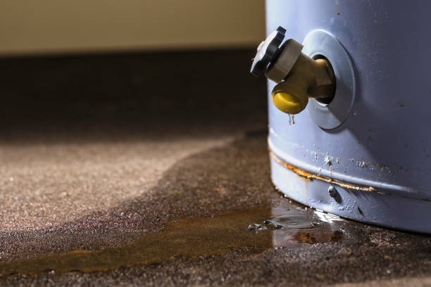 Best Commercial water damage restoration  in Rosamond, CA