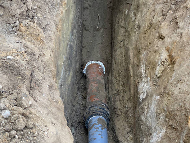 Best Sewage cleanup and water damage restoration  in Rosamond, CA