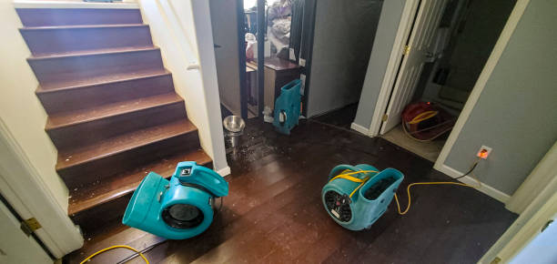 Best Emergency water damage restoration  in Rosamond, CA