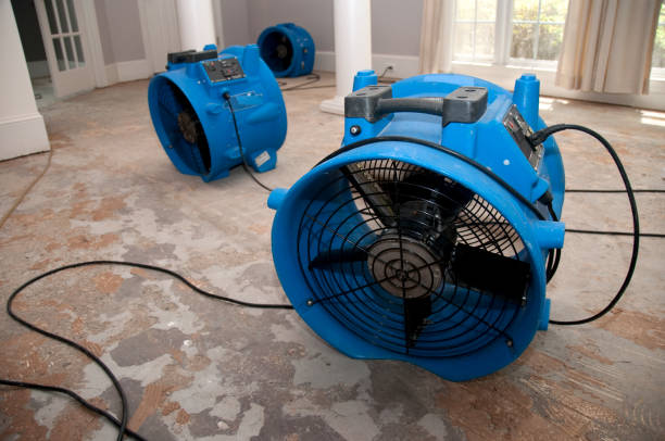 Best Water damage restoration company  in Rosamond, CA