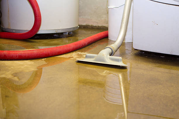 Best 24-hour water damage restoration  in Rosamond, CA