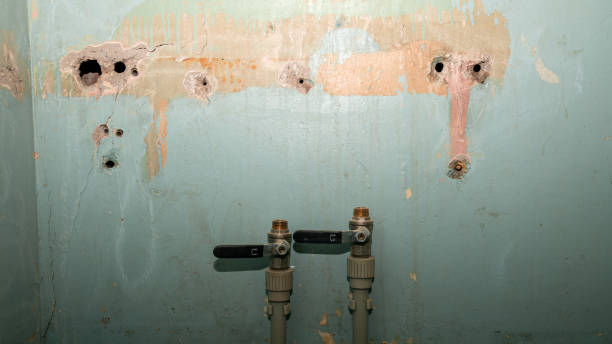 Best Basement water damage restoration  in Rosamond, CA