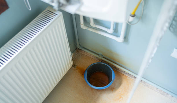 Best Water damage restoration specialists  in Rosamond, CA