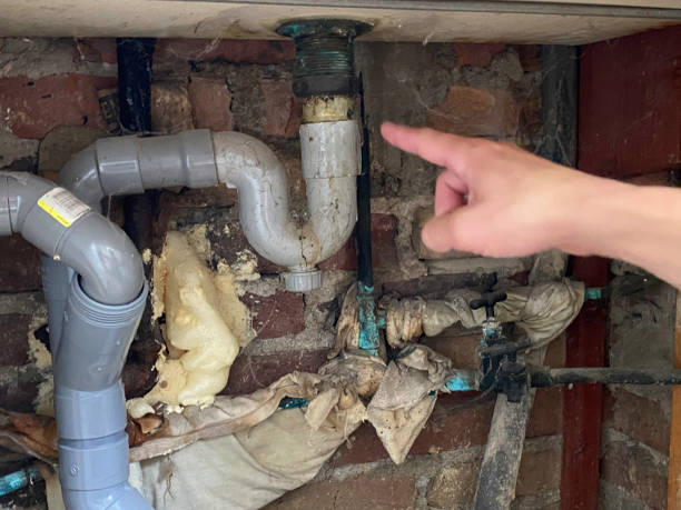 Best Water damage restoration near me  in Rosamond, CA