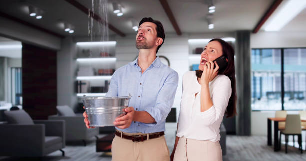 Best Local water damage restoration  in Rosamond, CA